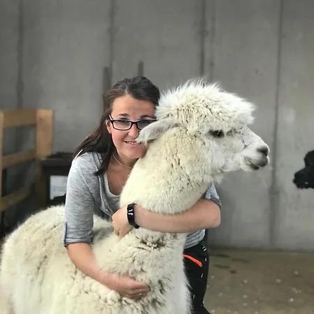 Am Alpakahof Hahn Apartman