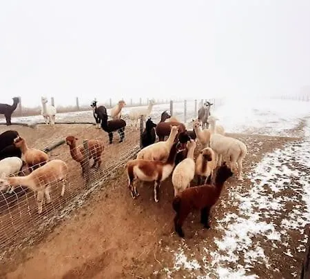 Apartman Am Alpakahof Hahn Grafenschlag