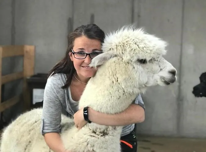 Am Alpakahof Hahn Apartamento