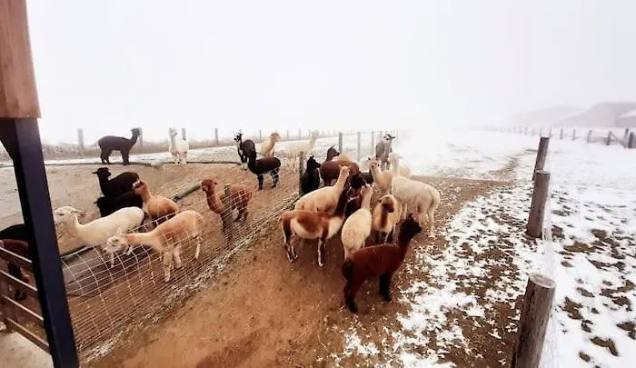 Apartamento Am Alpakahof Hahn Grafenschlag